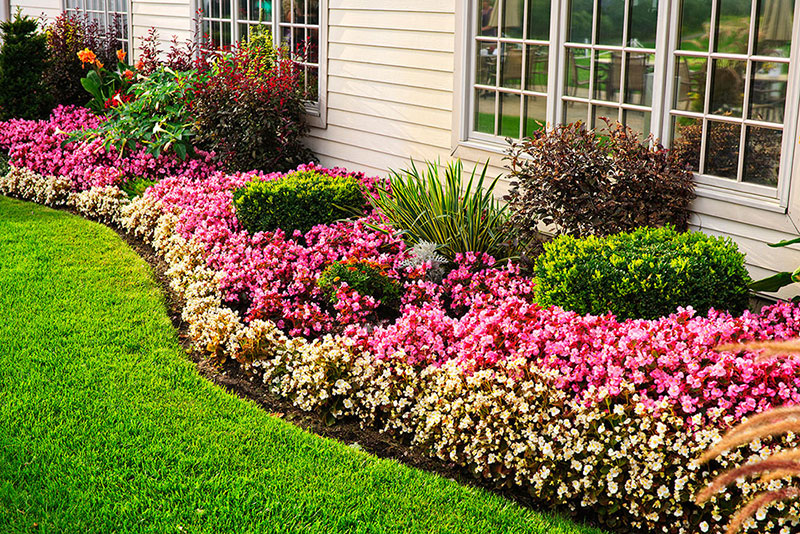 Local Landscaping Companies, Local Landscaping Companies